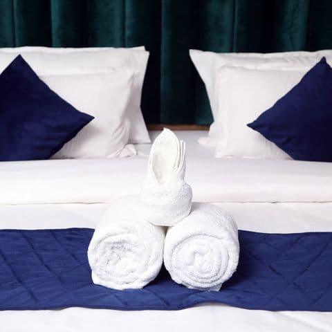 Deluxe Room image 1
